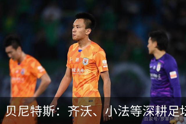 贝尼特斯：齐沃、小法等深耕足坛的人，就是意甲球队最可靠的底气